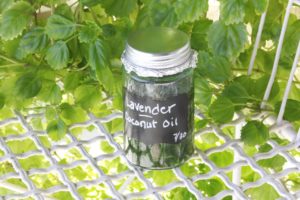 olio cocco capelli aridi